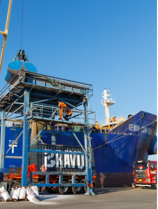 International Shipping